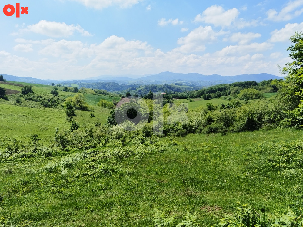 Prodaje se plac na Cokorima - coska polja 7
