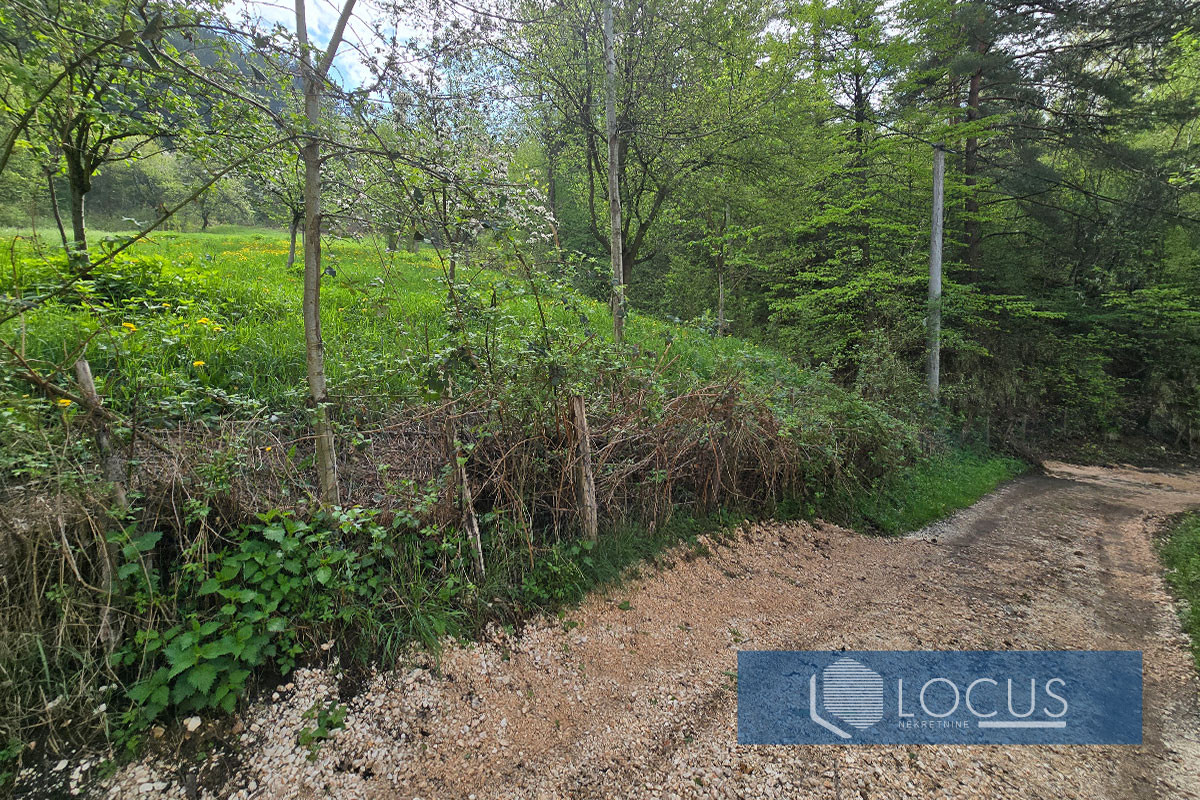 LOCUS: Zemljište površine 3.729m2, Panjina Kula, Centar 4