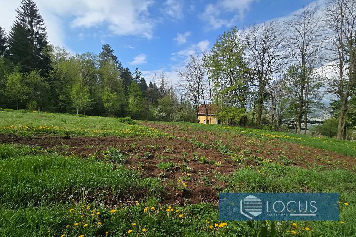 LOCUS: Zemljište površine 3.729m2, Panjina Kula, Centar 6