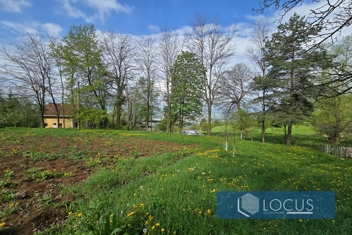 LOCUS: Zemljište površine 3.729m2, Panjina Kula, Centar 7
