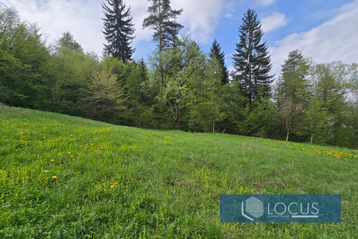 LOCUS: Zemljište površine 3.729m2, Panjina Kula, Centar 9