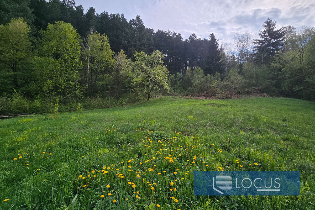 LOCUS: Zemljište površine 3.729m2, Panjina Kula, Centar 11
