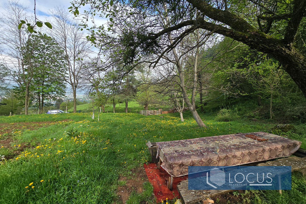 LOCUS: Zemljište površine 3.729m2, Panjina Kula, Centar 12