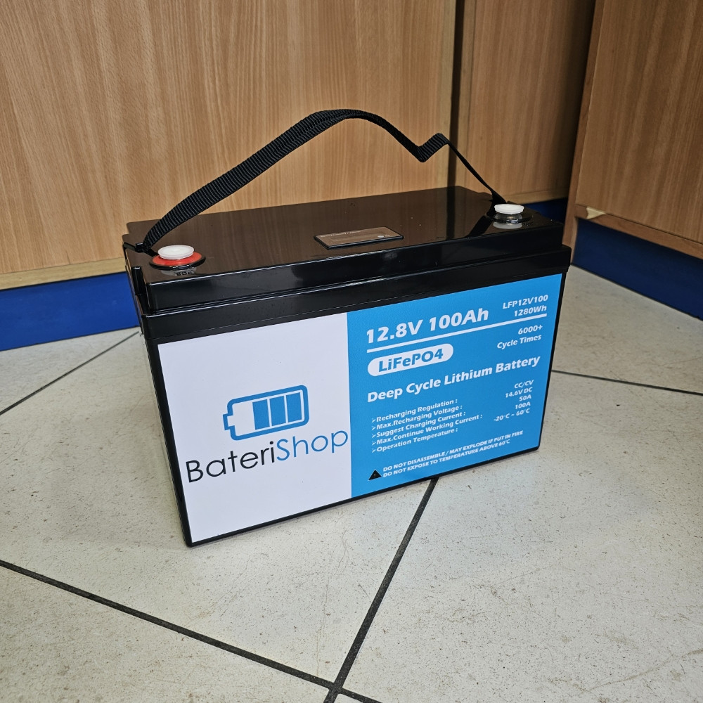 Akumulator Li-ion LiFePo4 12V 100Ah 1280Wh Baterije i punjači