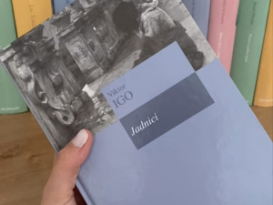Komplet od 29 knjiga - Biblioteka Vijesti