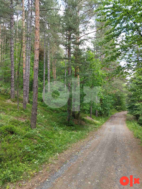 Zemljiste/suma - Srnica
