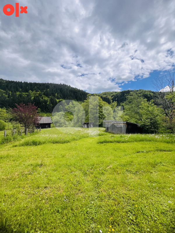 Zemljište i Kuća Podgrab - Vrhprača 8170m2 5