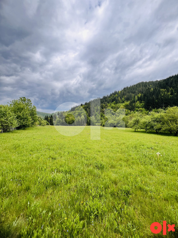 Zemljište i Kuća Podgrab - Vrhprača 8170m2 4