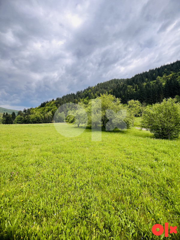 Zemljište i Kuća Podgrab - Vrhprača 8170m2 6