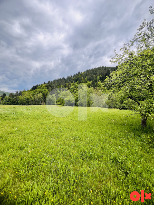 Zemljište i Kuća Podgrab - Vrhprača 8170m2 10