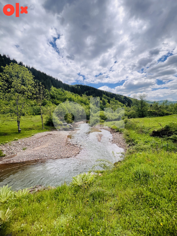 Zemljište i Kuća Podgrab - Vrhprača 8170m2 7