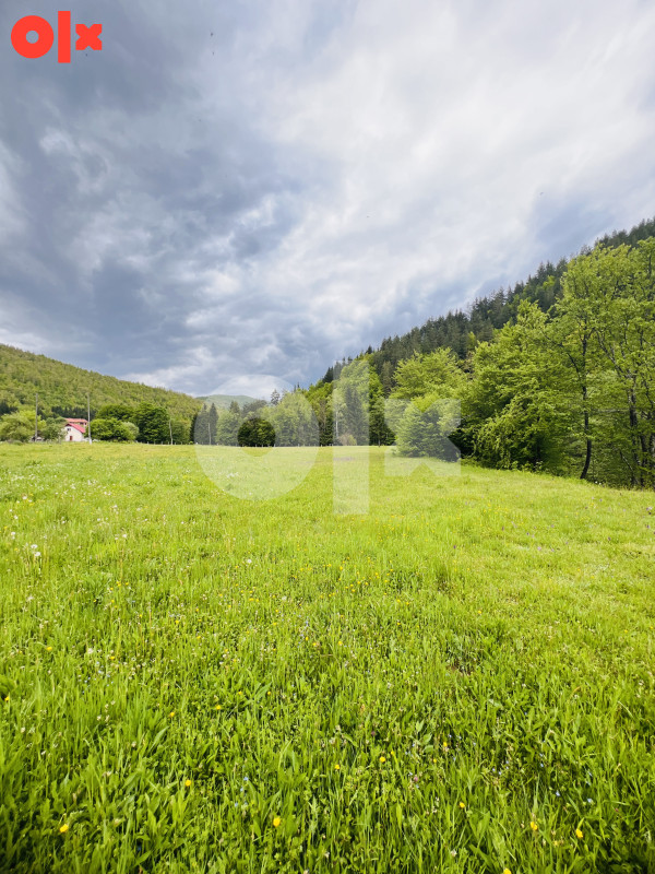 Zemljište i Kuća Podgrab - Vrhprača 8170m2 11