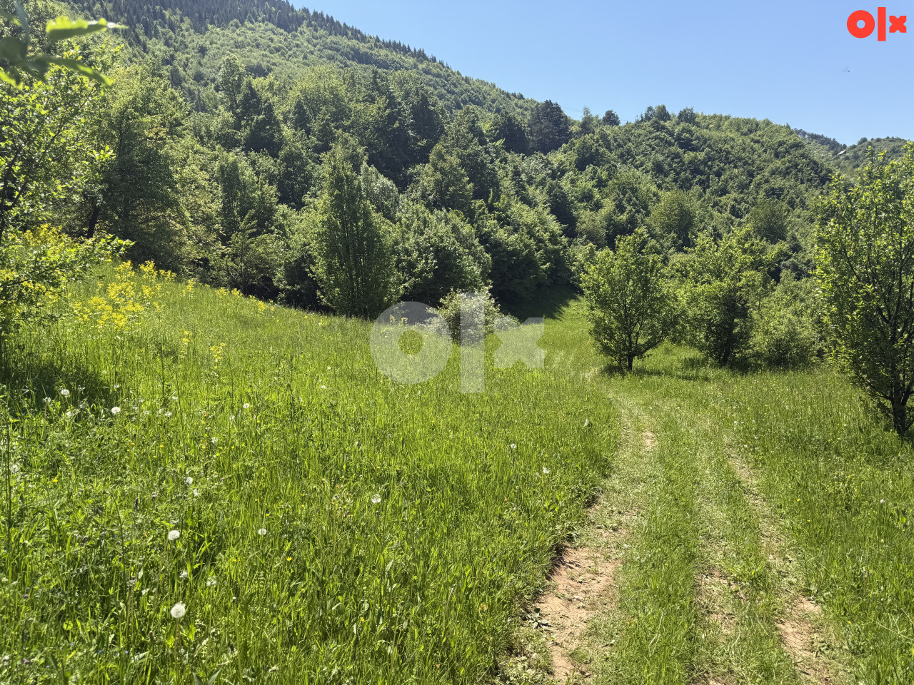 INVESTICIJSKA PRILIKA - GRAĐEVINSKO ZEMLJIŠTE 44.000m2 2