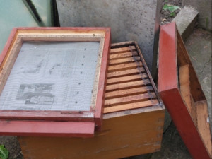 LR KOŠNICE ZA PČELE - KOMPLET