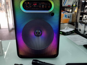 Karaoke zvucnik GTS/1593