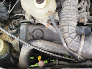 Reno master 2.8 motor mjenjac 84 kw