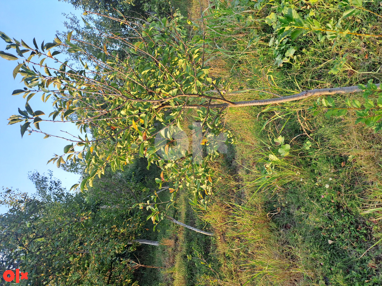 Zemljište Žepče 3100m2 3