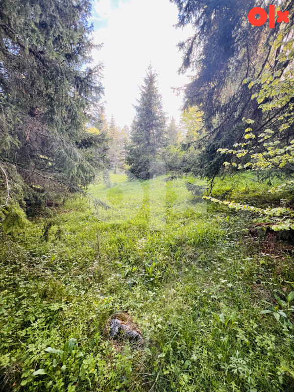 Zemljište Ravna Romanija, Sokolac 1278m2