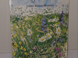 KNJIGA SLIKANJE AKVARELOM - LISBET BRAREN WEINRICH