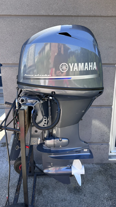 Yamaha 50 efi / Penta Nautika