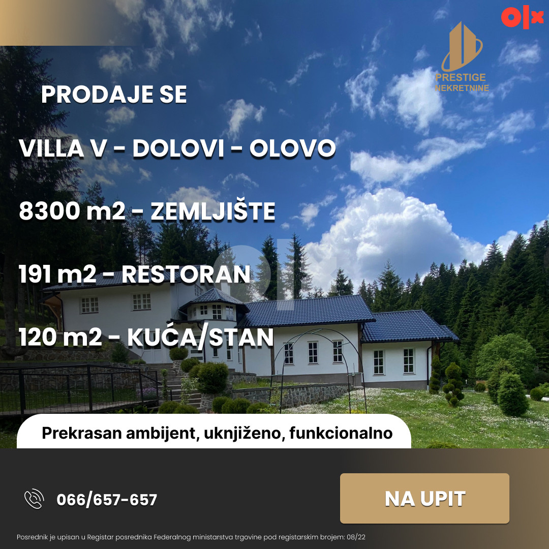 VILLA V - 311 m2 / zemljište 8300 m2 - Dolovi - Olovo