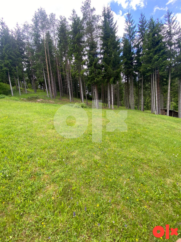 VILLA V - 311 m2 / zemljište 8300 m2 - Dolovi - Olovo