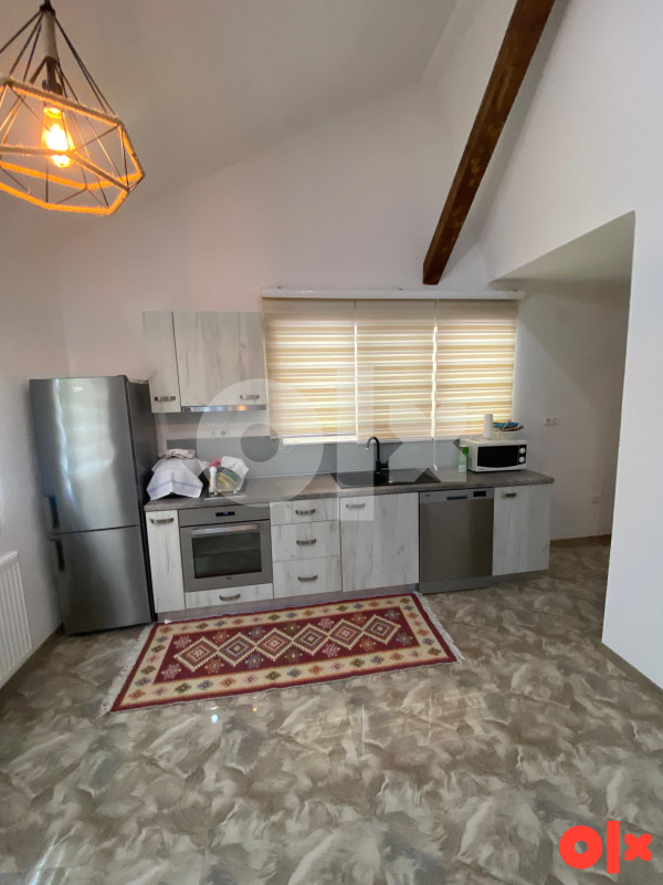 VILLA V - 311 m2 / zemljište 8300 m2 - Dolovi - Olovo