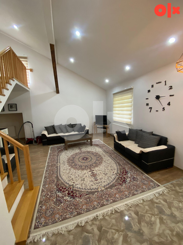 VILLA V - 311 m2 / zemljište 8300 m2 - Dolovi - Olovo