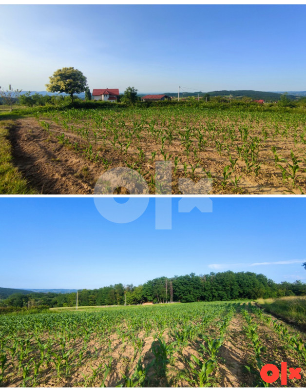 Zemljište Banja Luka-Slatina  5000m2-Cijena po dogovoru 3