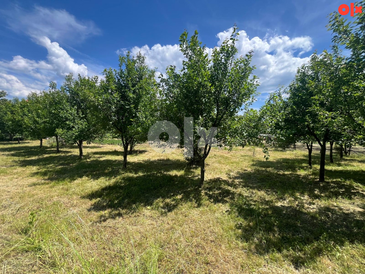 Prodaje se - Porodična kuća cca 300m2 i zemljištem 2020m2 2