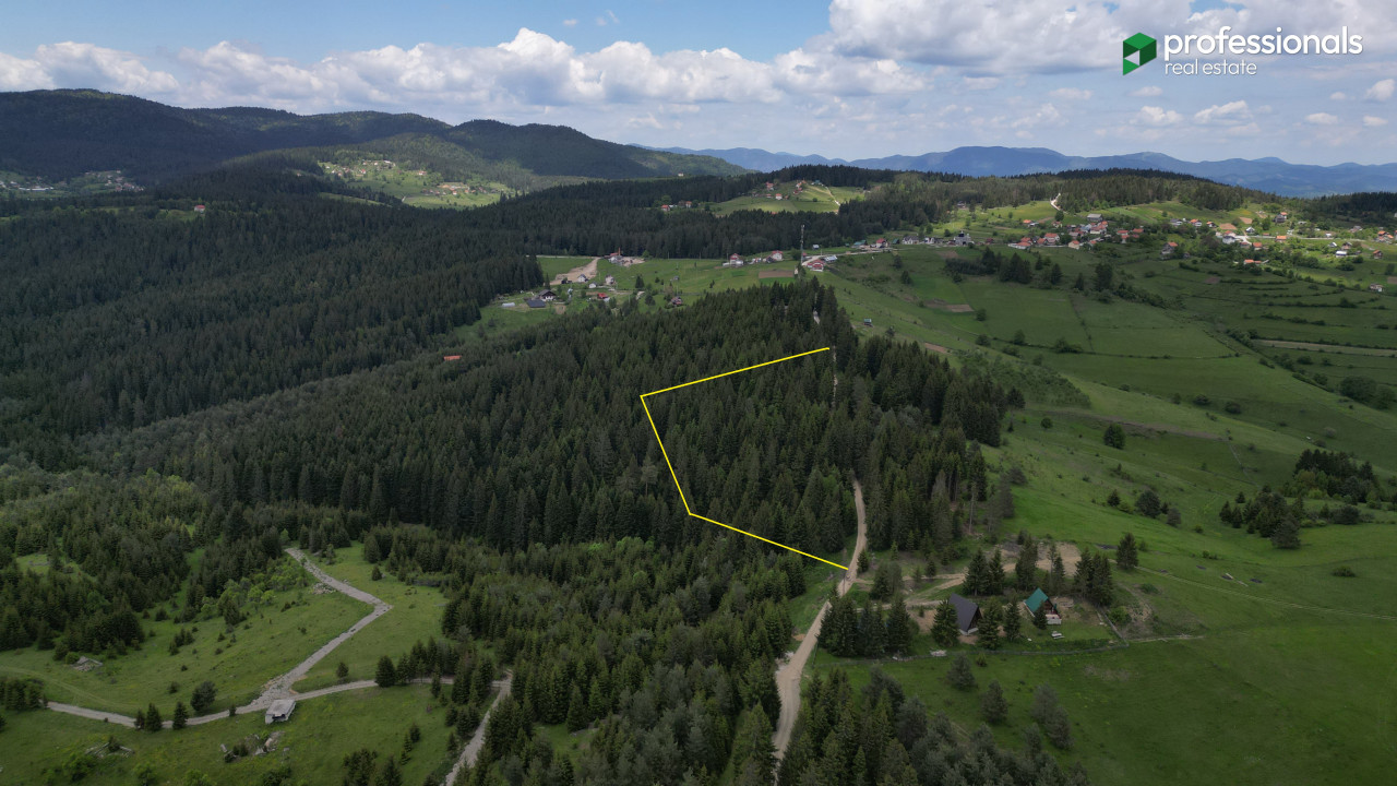 Zemljište Nišići 11903m2 3