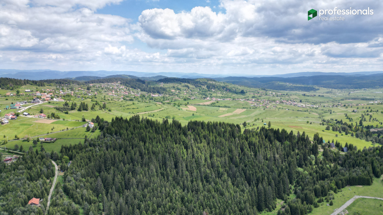 Zemljište Nišići 11903m2