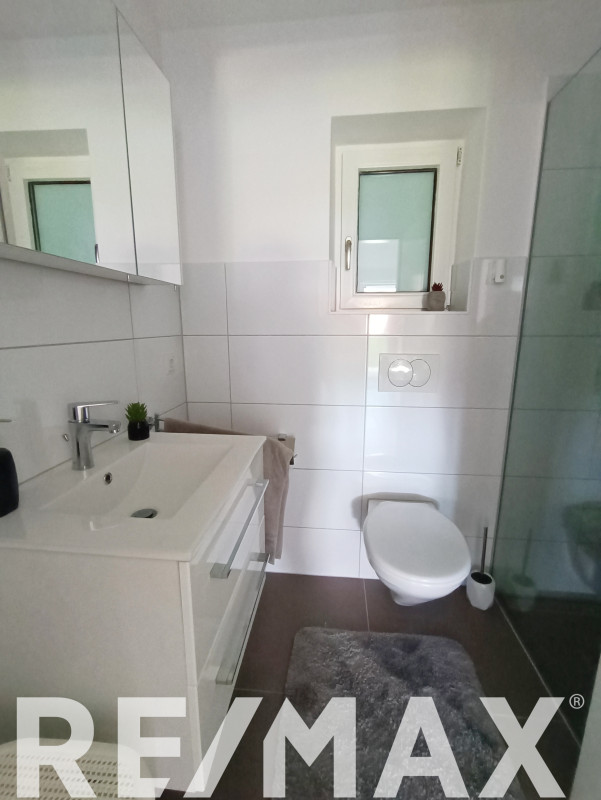 Prostrano imanje sa dva stana na 3120m2 u Derventskom lugu 22