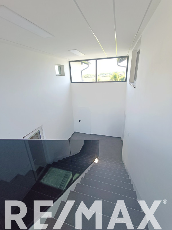 Prostrano imanje sa dva stana na 3120m2 u Derventskom lugu 24