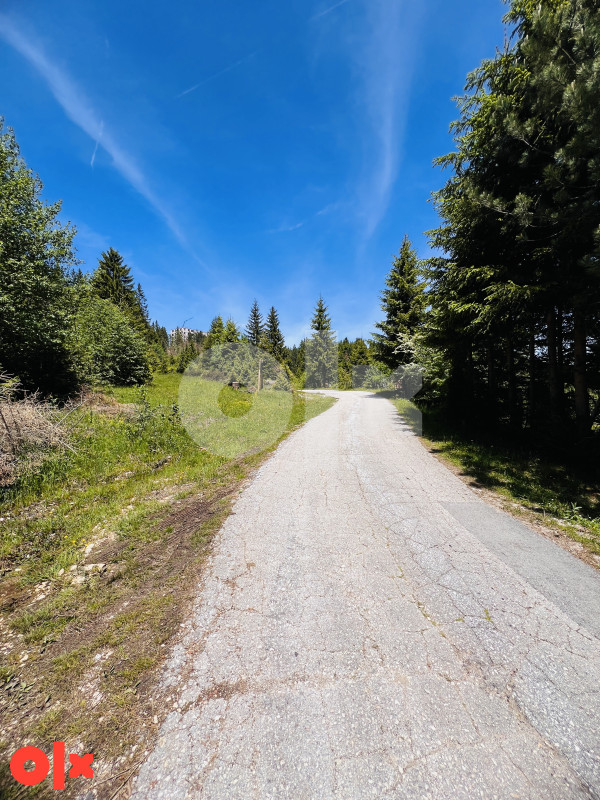 Zemljište Dovlići Trebević 2000m2 13