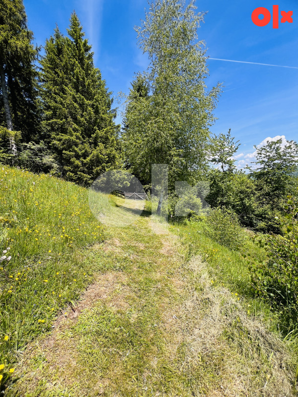 Zemljište Dovlići Trebević 2000m2 6