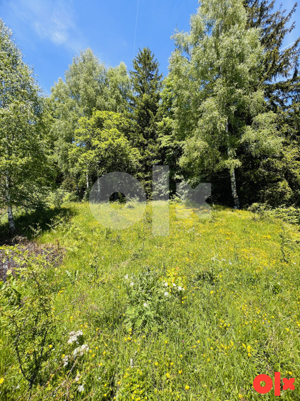 Zemljište Dovlići Trebević 2000m2 7