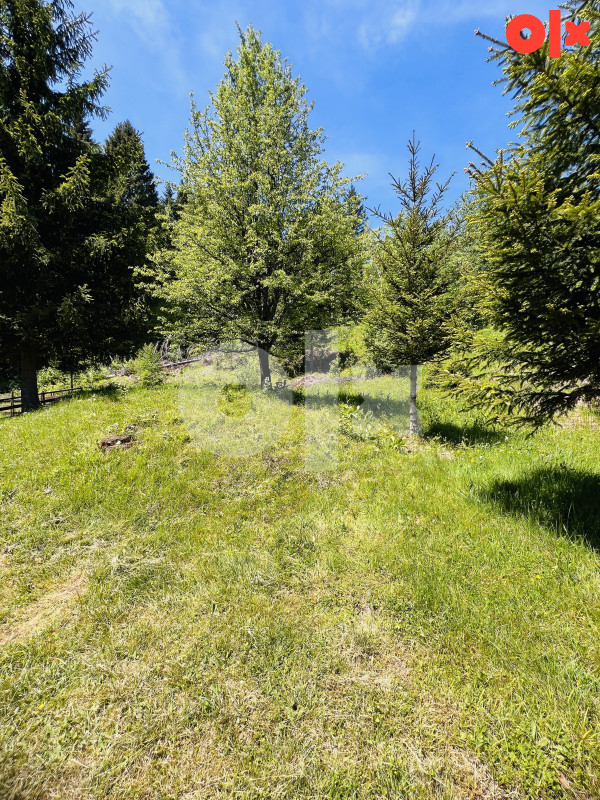 Zemljište Dovlići Trebević 2000m2 9