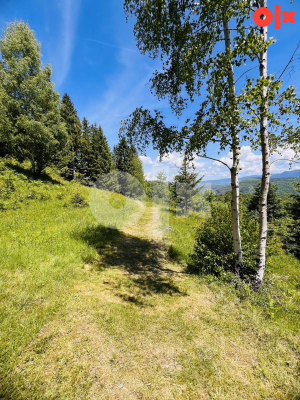 Zemljište Dovlići Trebević 2000m2 3