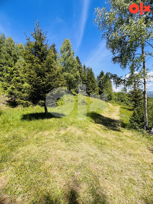 Zemljište Dovlići Trebević 2000m2 11