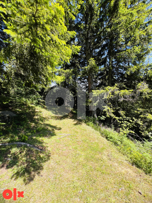 Zemljište Dovlići Trebević 2000m2 4