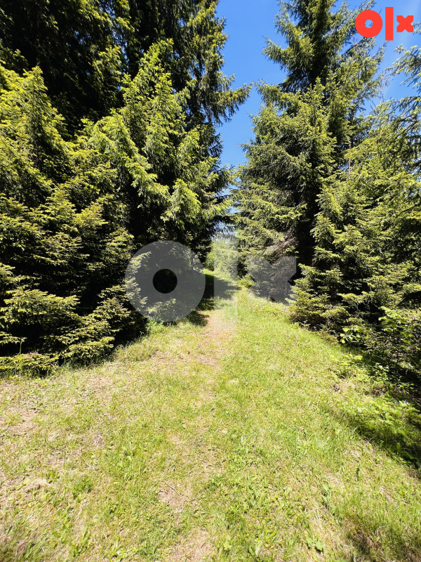 Zemljište Dovlići Trebević 2000m2 12