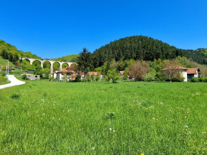 Izuzetna prilika u Tarčinu -  Veliko imanje sa više objekata! photo 2