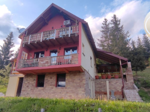 Kuća/Apartmani, Ravna planina, Pale 166 m2, dvorište 900 m2, lux photo 4