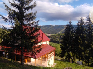 Kuća/Apartmani, Ravna planina, Pale 166 m2, dvorište 900 m2, lux