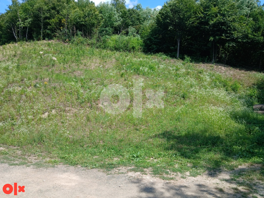 Plac Zavidovici 5