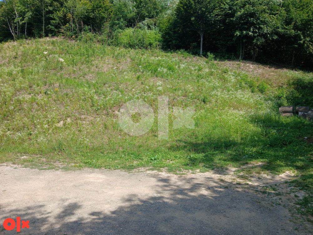 Plac Zavidovici 7