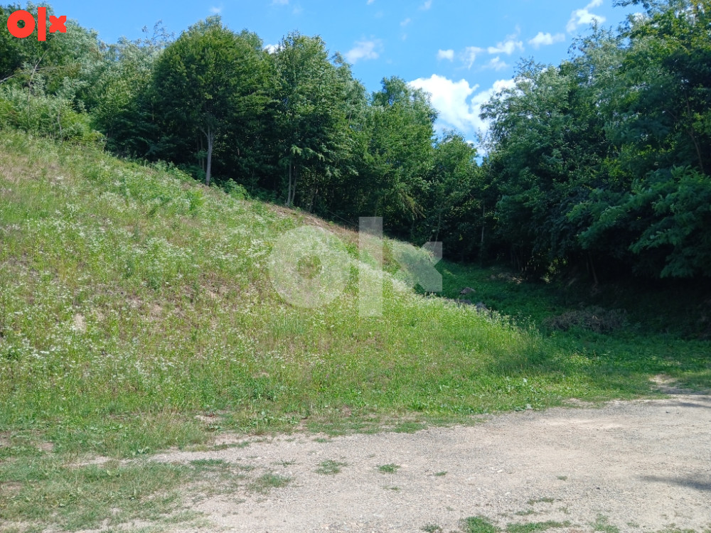 Plac Zavidovici 6