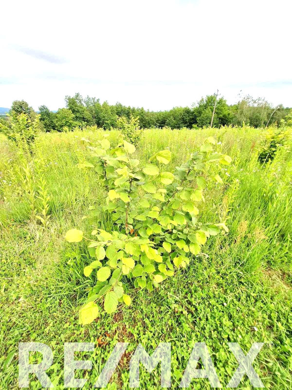 Namještena kuća sa voćnjakom i plantažom lješnjaka -Prijedor 16