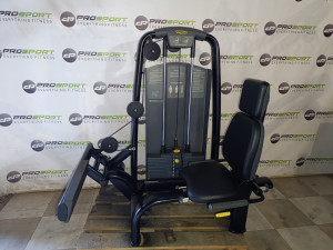 Technogym selection rotary calf